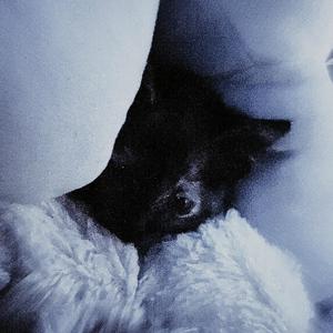 K n o. D a t (Explicit)