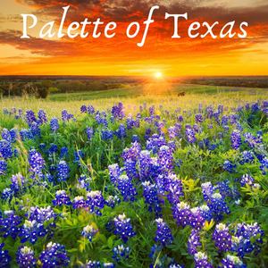 Palette of Texas