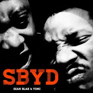 feel the light(feat. Ydmc) (Explicit)
