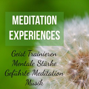 Meditation Experiences - Geist Trainieren Mentale Stärke Geführte Meditation Musik für Reiki Ausbildung Yoga Übungen und Schlafstörungen Therapie