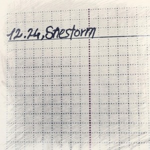 12.24,Snestorm