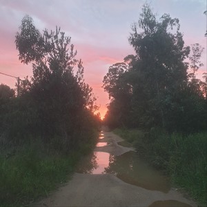 Señales de Voz(feat. Julian Oroz)