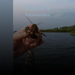 Theirs Excrescence