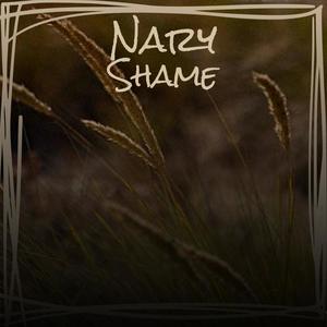 Nary Shame