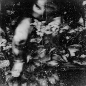 WOOF - Law Of Attraction (feat. Clu) (Explicit)