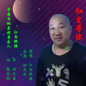红尘等你