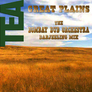 Great Plains (Bombay Dub Orchestra Darjeeling Mix)