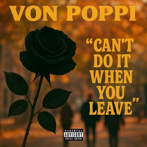 Can't Do It When You Leave (Explicit)