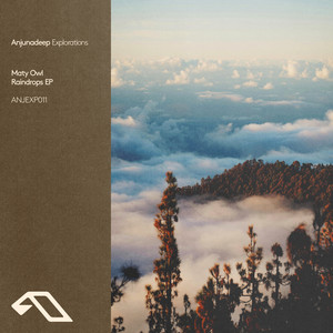 Raindrops (Extended Mix)