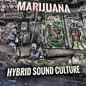 Hybrid Sound Culture