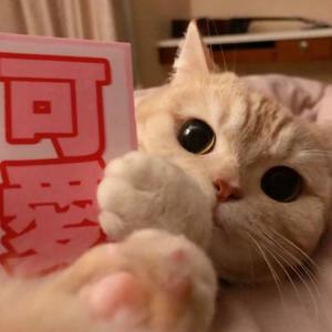 坏女孩 (片段版)