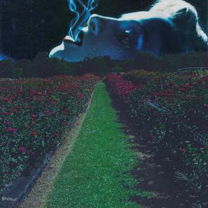 Breaks Like Bukem (feat. Lil Wretched) (Explicit)