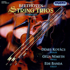 String Trio in C Minor, Op. 9, No. 3 - String Trio in C Minor, Op. 9, No. 3: IV. Finale. Presto