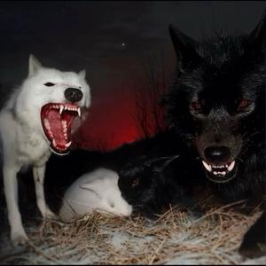 tsstilleatme (Explicit)