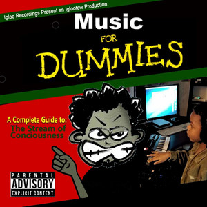 Music for Dummies a Complete Guide To: The Stream of Conciousness (Explicit)