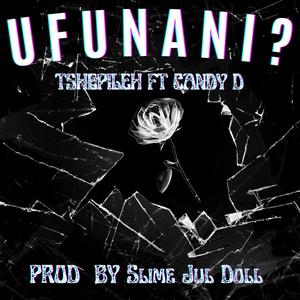 UFUNANI? (feat. Tshepileh & Candy D)