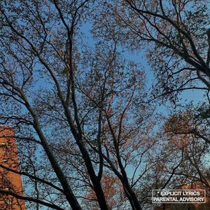 Saturn (feat. Arkadiusz the Lover) (Alternative Edit) (Explicit)