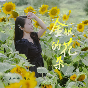 金银的花朵 (伴奏)