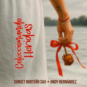 Coleccionando Heridas (feat. Andy Hernández)