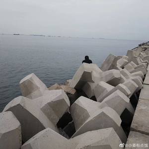 这么孤独着封面