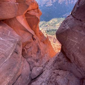 LetandreOne - Arizona (feat. ikeya, Huez & User67)