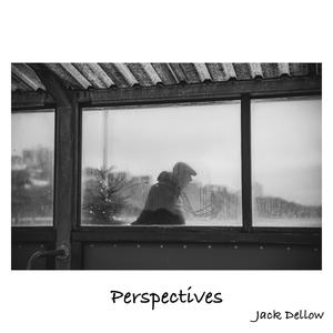 perspectives