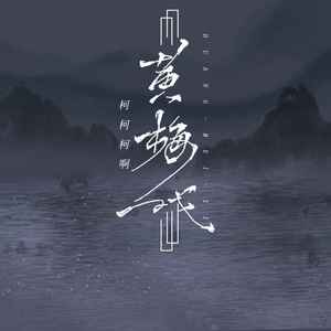 黄梅戏-柯柯柯啊