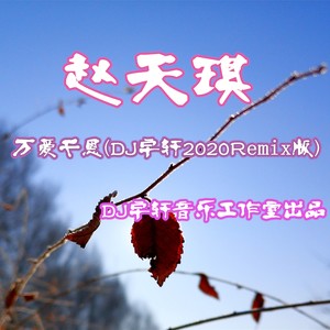 万爱千恩 (DJ宇轩2020Remix水兵舞版)
