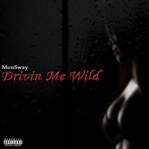 Drivin' Me Wild (Explicit)