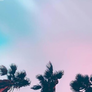 还给网络世界一个清朗空间