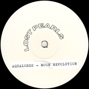 Moon Revolution (Steve Spaceman Vs Regi's Global Killer Version)