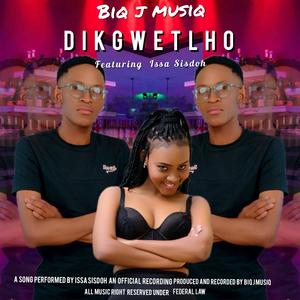 Dikgwetlho
