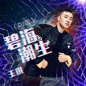 碧海潮生 (DJ版)封面
