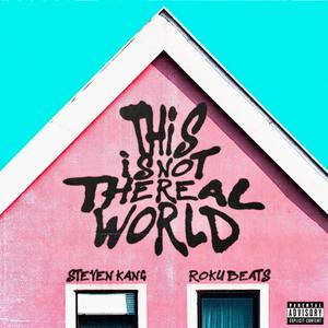 This is Not The Real World (Explicit)