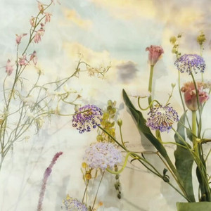 The Umbrellas of Cherbourg