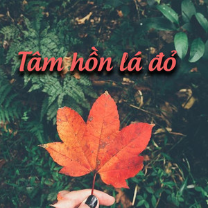 Tâm hồn lá đỏ