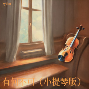有何不可 (小提琴版)