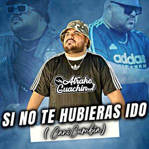 Si No Te Hubieras Ido