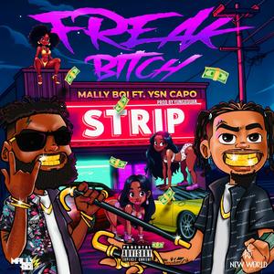 Freak ***** (feat. YSN Capo) (Explicit)