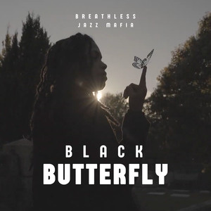 Black Butterfly