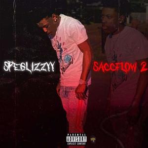 Saccflow 2 (Explicit)