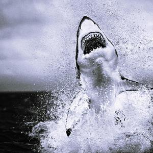 3AM In Houston (Explicit)