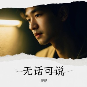 无话可说