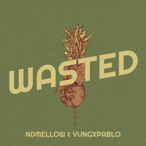 Wasted (Explicit)