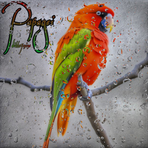 Papagei (Explicit)