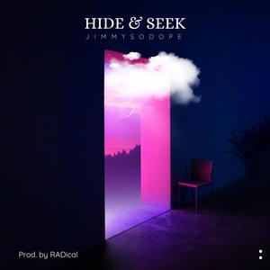 Hide & Seek