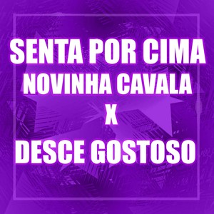 SENTA POR CIMA NOVINHA CAVALA X DESCE GOSTOSO (Explicit)