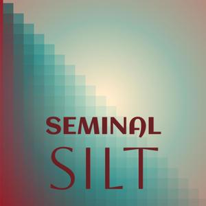 Seminal Silt