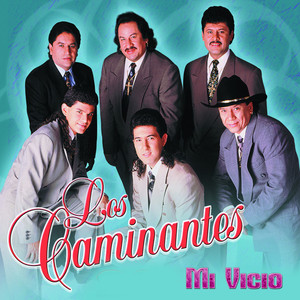 Mi Vicio