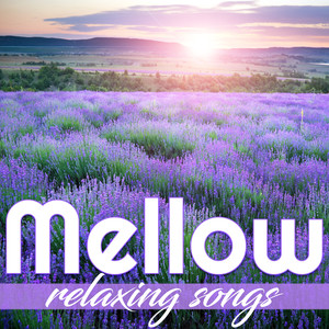 Mellow Relaxing Songs (放松音乐)